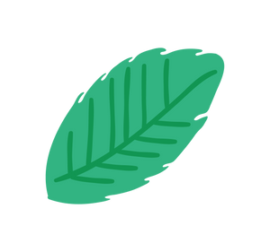 Green leaf icon on a white background
