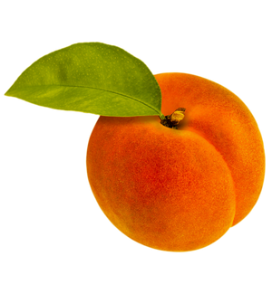 Two peaches with a green leaf on a white background