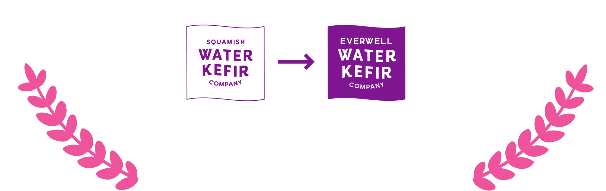Transition from 'Squamish Water Kefir Company' to 'Everwell Water Kefir Company' with pink leaf graphics on a white background.
