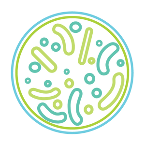 Circular design with green and blue abstract patterns on a white background