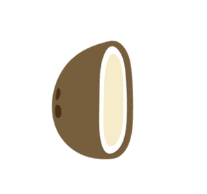 Illustration of a coconut on a white background for tropical fruit or beverage product