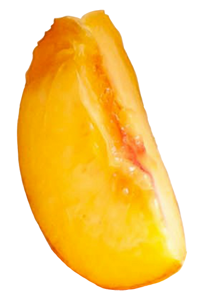 Slices of fresh yellow pineapple on a white background