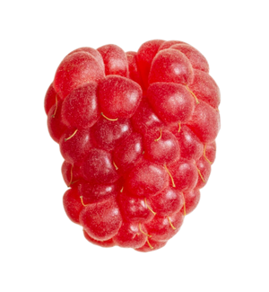 Close-up of a fresh red raspberry on a white background