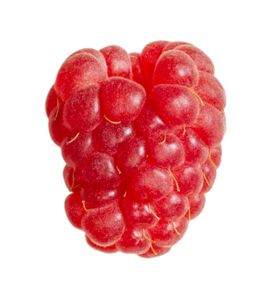 Close-up of a fresh red raspberry on a white background