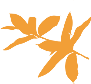 Orange leaf silhouette with delicate veins on a white background