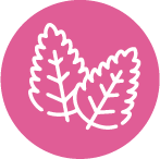 White leaf design centered on a pink circular background icon